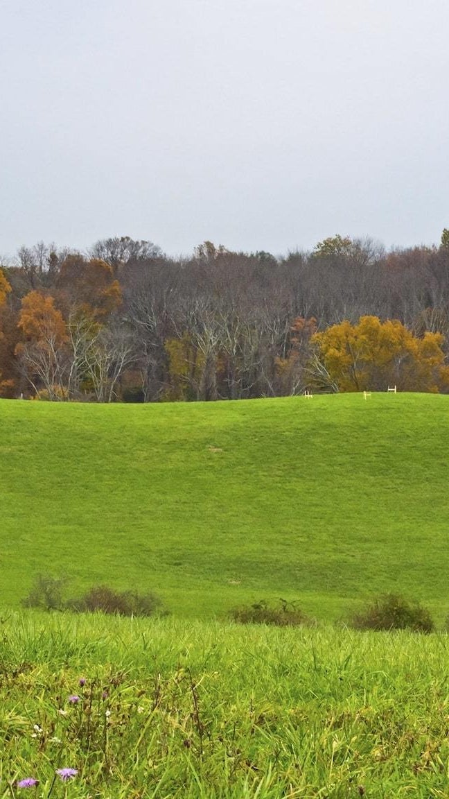 Bedminster Township The Hills NJ Real Estate The Oldendorp Group