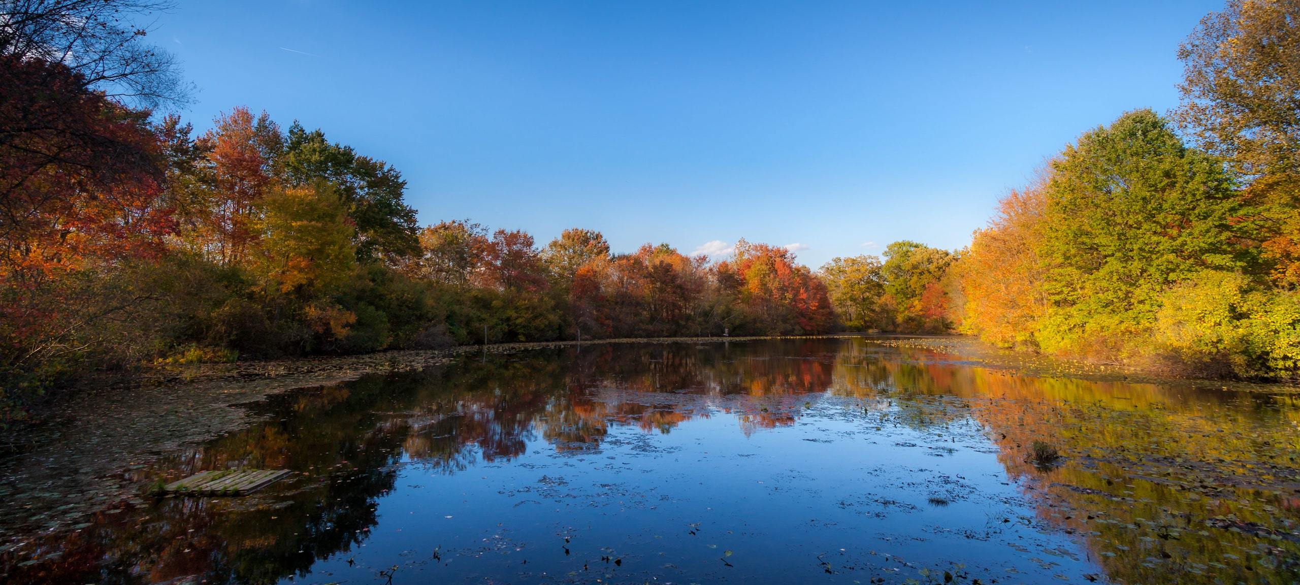 Fall foliage reflected in a pond inside Great Swamp National Wildlife Refuge in New Jersey.