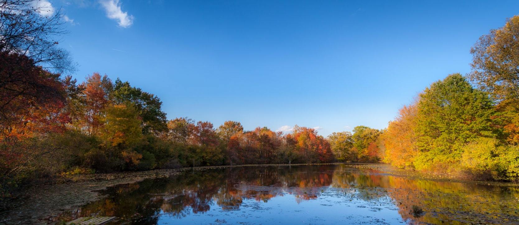 Great Swamp National Wildlife Refuge in Chatham Township, New Jersey